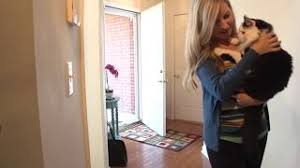 Petsafe Simply Clean Automatic Cat Litter Box Youtube