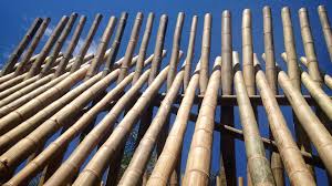 You can buy practically anything made from bamboo. Drying Bamboo Poles Guadua Bamboo