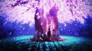 Anime Backgrounds Scenery Youtube Night Flowers Anime Background Rainy Night