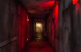 Anda juga mungkin susah nak tidur malam. Super Scary Labyrinth Of Fear Japan Diiktiraf Rumah Hantu Paling Menakutkan Oleh Guinness World Record Libur