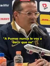 LOS DIABLOS TENDRÍAN EQUIPO DE BASQUETBOL 🏀 En RÉCORD+ se reveló la i...