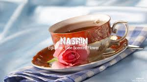 You can also find multiple synonyms or similar words of. Ù†Ø³Ø±ÛŒÙ† Nasrin Name Meaning In Urdu Arabic Names For Girls