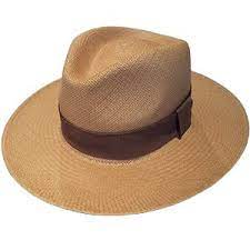 Panama Serengeti Hat Panama Hats For Women Panama Hat Hats For Men Panama Hat Women