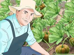 How To Become A Farmer Without Experience: 14 Steps