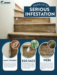 When faced with a pest infestation, the health of your customers and employees is at risk, as well as your reputation. All About Spiders And How To Get Rid Of Them