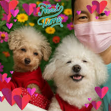 Hi guys..ask ko lang.. sang Branch ng S&R and Landers may KirKland Milk  Chocolate Almonds..tnx for the favor😊