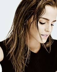 Rose Paulson (rosep22682)