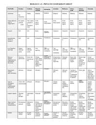 surprising phylum comparison chart key 2019