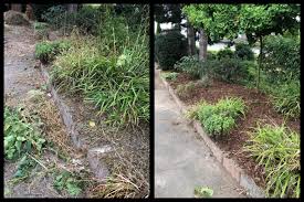 Baum Fallen Heckseln Rindenmulch Auf Gartenbeet Verteilen Und Pflanzen Unterstutzen Pflanzen Garten Anlegen Garten