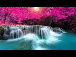 Music For Sleeping Soothing Music Stress Relief Go To Sleep Background Music 8 Hours Stress Relief Massage Stress Relief Remedies Stress Relief Meditation