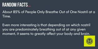 People Only Breathe Out Of One Nostril At A Time Breath In Breath Out Fun Facts Facts