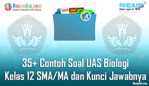 Lengkap 35 Contoh Soal Uas Biologi Kelas 12 Sma Ma Dan Kunci Jawabnya Terbaru Bospedia