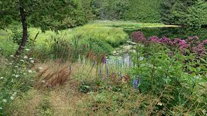 Check spelling or type a new query. Wildscaping The Home Edition The New Perennialist