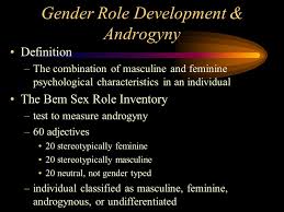 Gender Role Development Ppt Video Online Download