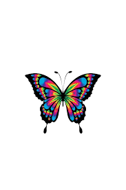 This butterfly has bright, colorful wings. Colorful Butterfly Digital Art By Top Ten Designs