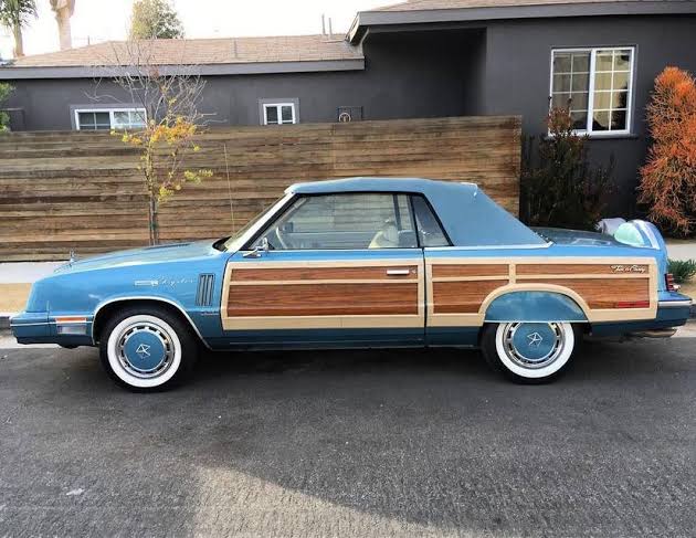 20 Troubling Pictures Of Fender Skirts On Cars