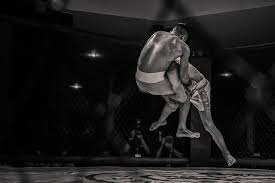 There is so much more to it than that. Get Into The Cage A Beginners Guide On How To Get Into Mma Spartner