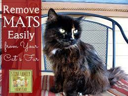 How To Remove Mats Easily From Your Cat S Fur And The Tools You Will Need To Do It Cat Fur Matted Cat Fur Cats