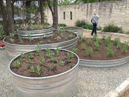 5 Ways To Use Galvanized Stock Tanks As Planters Stock Tank Gardening Raised Garden Galvanized Stock Tank