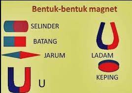 We did not find results for: Jelaskan Perbedaan Bentuk Masing Masing Magnet Brainly Co Id