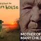 Films documentaires | Documentary Films – Alanis... event in Westmount, Quebec