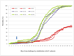 Plos One Disease Resistance In Atlantic Salmon Salmo Salar Coinfection Of The Intracellular Bacterial Pathogen Piscirickettsia Salmonis And The Sea Louse Caligus Rogercresseyi