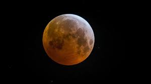 Si la couverture nuageuse le permet, il sera possible d'observer ce 14 novembre. Eclipse Totale Une Lune De Sang Visible En Belgique Ce Lundi Matin Photos Le Soir