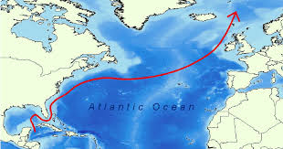 The current stretches from the gulf . The Gulf Stream Current Originates In The Gulf Of Mexico And Carries A Download Scientific Diagram