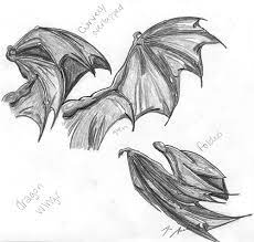 dragon anatomy can hivewings(and silkwings) fold their wings in like the pyrrhian dragons, or do they leave their wings unfolded the way they are? Pin By Taylor Hsu On Dragon Wings Drawing Dragon Wings Dragon Drawing