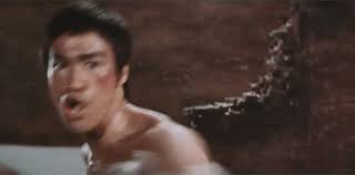 The Steelers' Antonio Brown Karate-Kicked A Punter And The Internet  Responded Hilariously