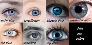 Eye Colors Eye Color Chart Blue Eye Color Writing