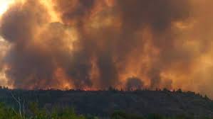 Los brigadistas continúan enfriando puntos calientes. El Bolson Refuerzan El Apoyo Para Combatir El Incendio Y Declaran El Estado De Emergencia Telam Agencia Nacional De Noticias