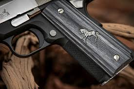 Image result for Dark Gray 1989 Colt