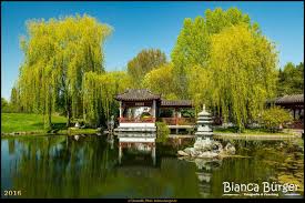 Garten Der Welt Mai 2016 Chinesischer Garten Gartenderwelt Gardensoftheworld Berlin Deutschland Germany Biancabuerg Chinesischer Garten Garten Bilder