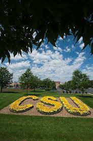 Colorado State University Is Golden Colorado State University Colorado State University Campus Colorado