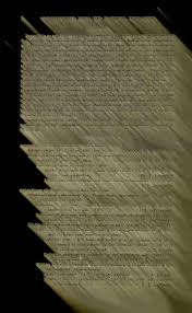 Image result for Anthephora pungens