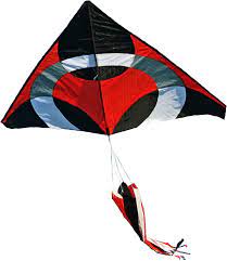 Weifang New Sky Kites Giant Delta Ring iKite Delta Shape Premium Large Kite  with Line and Handle : Amazon.ae: Toys