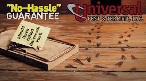All of our licensed pest control technicians are trained to look for possible entry points and point out potential concern. Universal Pest Termite In Virginia Beach Va