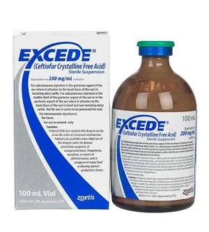 Excede (Ceftiofur Crystalline Free Acid) 200mg/ml Sterile Suspension, AI generated