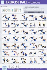 Pets Home Exercise Ball Workouts 35 Super Effective Moves