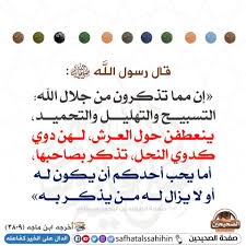 Pin By Lamine G On قطوف دعويه Ahadith Hadith Arabic Quotes