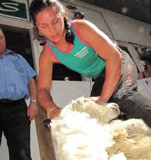 Shearing: Gisborne's Catherine Mullooly targets Amy Silcock's fresh world  record