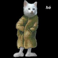 Https Encrypted Tbn0 Gstatic Com Images Q Tbn 3aand9gcsqoqhbxchv6 Lhn18oucpheksemxl3bt Aeq Usqp Cau