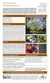 Flowering dogwood grows 20 to 35 feet tall and spreads 25 to 30 feet. Cornus Florida Flowering Dogwood Master Gardeners Of Northern Virginia