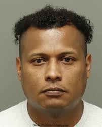 Renee Giantonio's Instagram, Twitter & Facebook