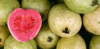 15 fruity facts about guavas the fact site 15 fruity facts about guavas the fact