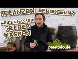 Pflanzen Bewurzeln Weidenwasser Selber Machen Paratodo De Vom 13 05 2013 Youtube