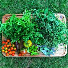 We did not find results for: How To Dry Herbs From The Garden Dengarden
