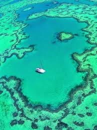 The island has lots of things to do such as; Destination Of The Week Hamilton Island A Australian Piece Of Heaven Great Barrier Reef Hamilton Island Most Romantic Places