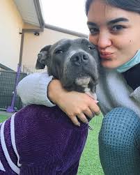 Lost dog in Freeport, Texas,